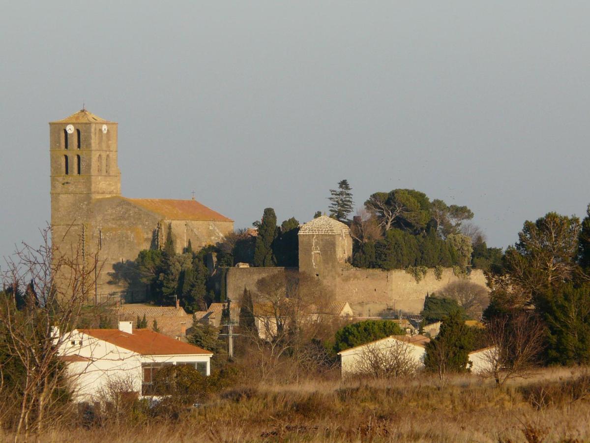 Chateau De Puicheric Eksteriør billede