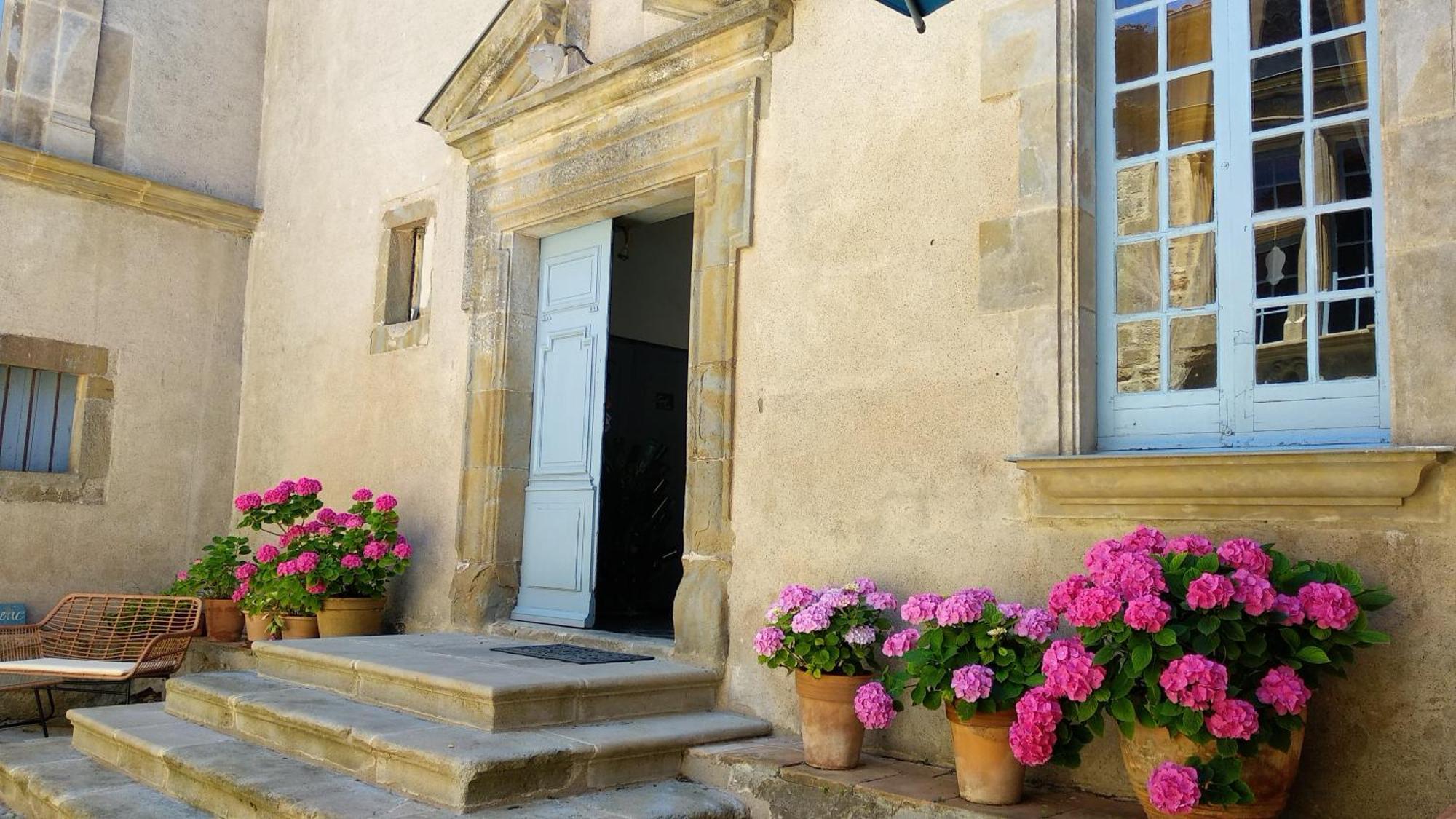Chateau De Puicheric Eksteriør billede